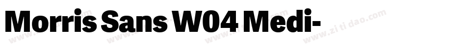 Morris Sans W04 Medi字体转换